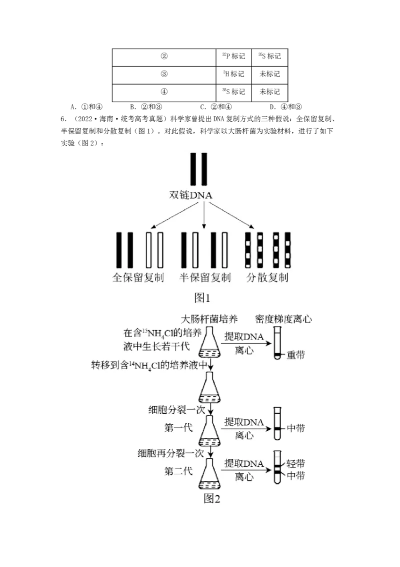 专题13遗传的分子基础（原卷版）_通用版（老高考）复习资料_2024年复习资料_完备战2024年高考生物一轮复习抢分特训（全国通用）