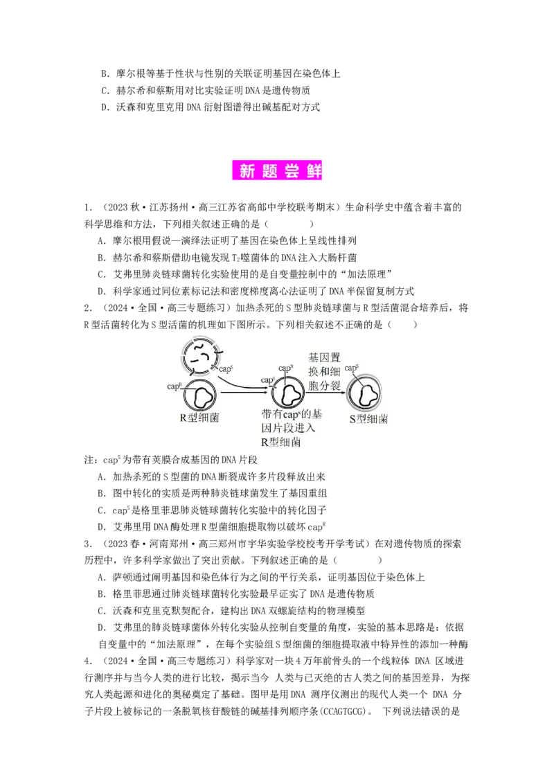 专题13遗传的分子基础（原卷版）_通用版（老高考）复习资料_2024年复习资料_完备战2024年高考生物一轮复习抢分特训（全国通用）