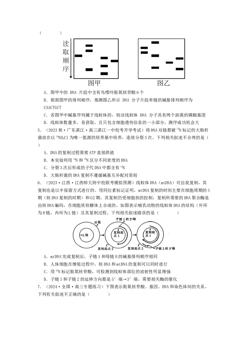 专题13遗传的分子基础（原卷版）_通用版（老高考）复习资料_2024年复习资料_完备战2024年高考生物一轮复习抢分特训（全国通用）