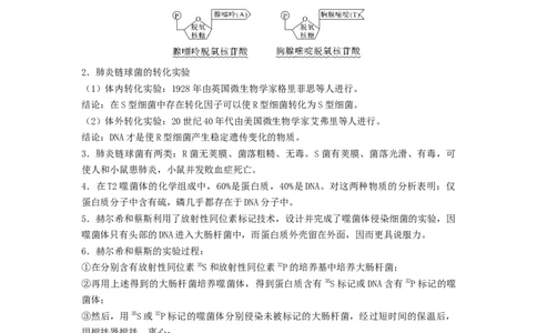 专题13遗传的分子基础（原卷版）_通用版（老高考）复习资料_2024年复习资料_完备战2024年高考生物一轮复习抢分特训（全国通用）