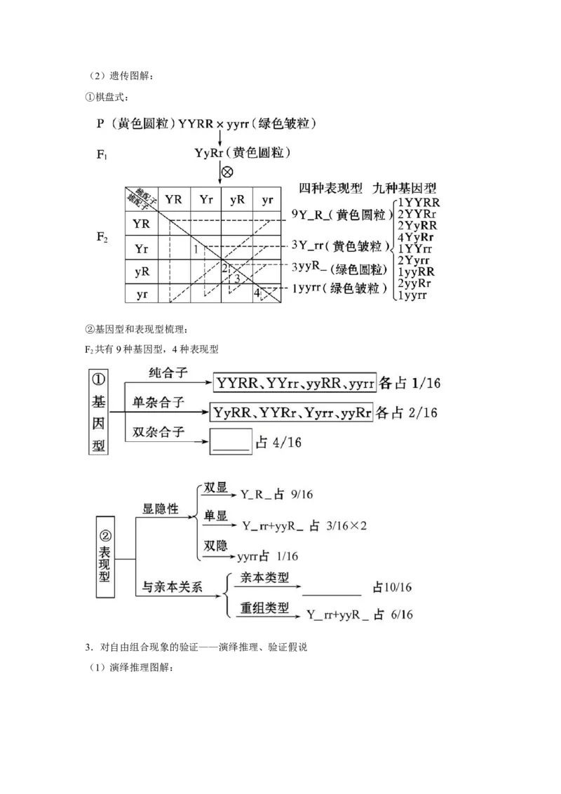 专题14_基因的自由组合定律(教师版)_新高考复习资料_2023年新高考复习资料_二轮复习_增分要点2023高考生物二轮复习专题解读和分层训练291073137