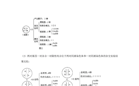 专题14_基因的自由组合定律(教师版)_新高考复习资料_2023年新高考复习资料_二轮复习_增分要点2023高考生物二轮复习专题解读和分层训练291073137