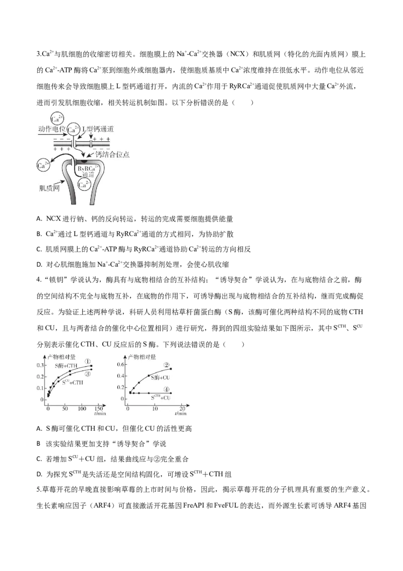 黄金卷06（考试版）-赢在高考&middot;黄金8卷备战2024年高考生物模拟卷（山东专用）_2024年新高考资料_4.2024高考模拟预测试卷