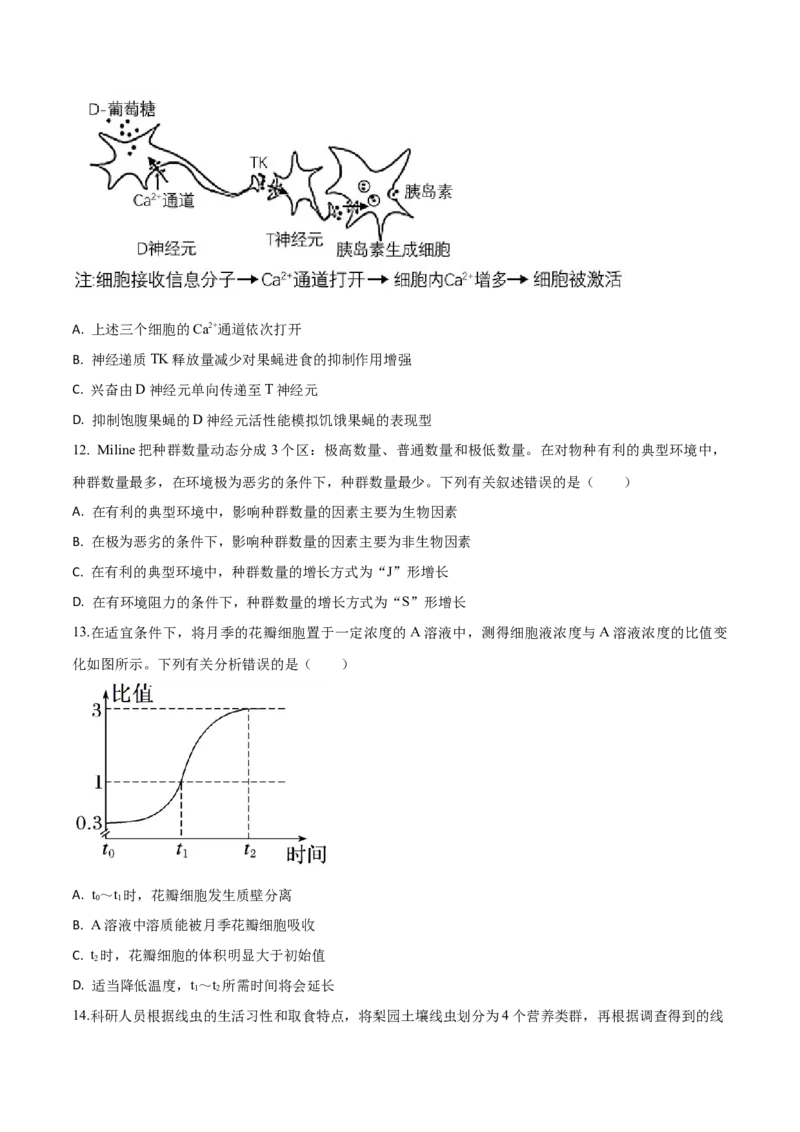 黄金卷06（考试版）-赢在高考&middot;黄金8卷备战2024年高考生物模拟卷（山东专用）_2024年新高考资料_4.2024高考模拟预测试卷