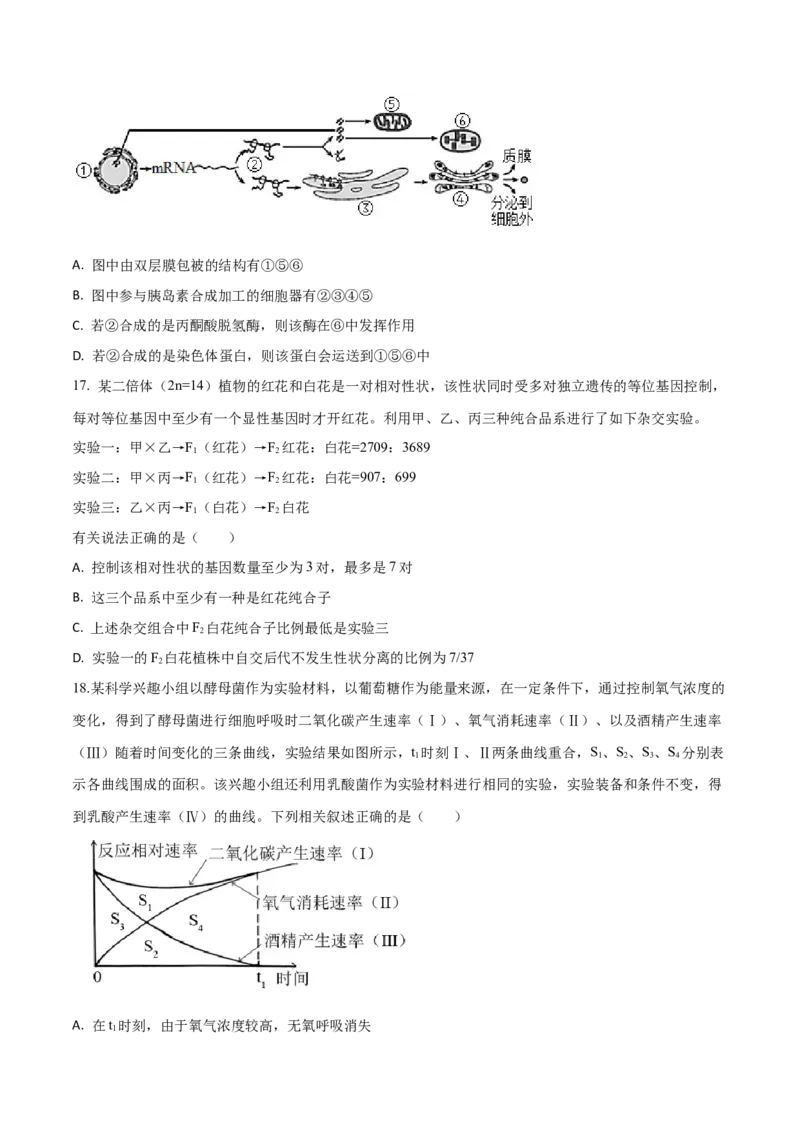 黄金卷06（考试版）-赢在高考&middot;黄金8卷备战2024年高考生物模拟卷（山东专用）_2024年新高考资料_4.2024高考模拟预测试卷