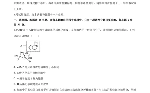 黄金卷06（考试版）-赢在高考&middot;黄金8卷备战2024年高考生物模拟卷（山东专用）_2024年新高考资料_4.2024高考模拟预测试卷