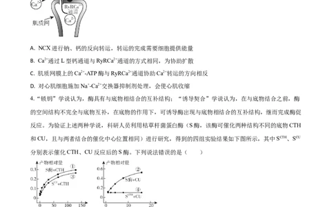 黄金卷06（考试版）-赢在高考&middot;黄金8卷备战2024年高考生物模拟卷（山东专用）_2024年新高考资料_4.2024高考模拟预测试卷