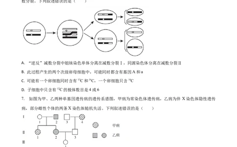 黄金卷06（考试版）-赢在高考&middot;黄金8卷备战2024年高考生物模拟卷（山东专用）_2024年新高考资料_4.2024高考模拟预测试卷