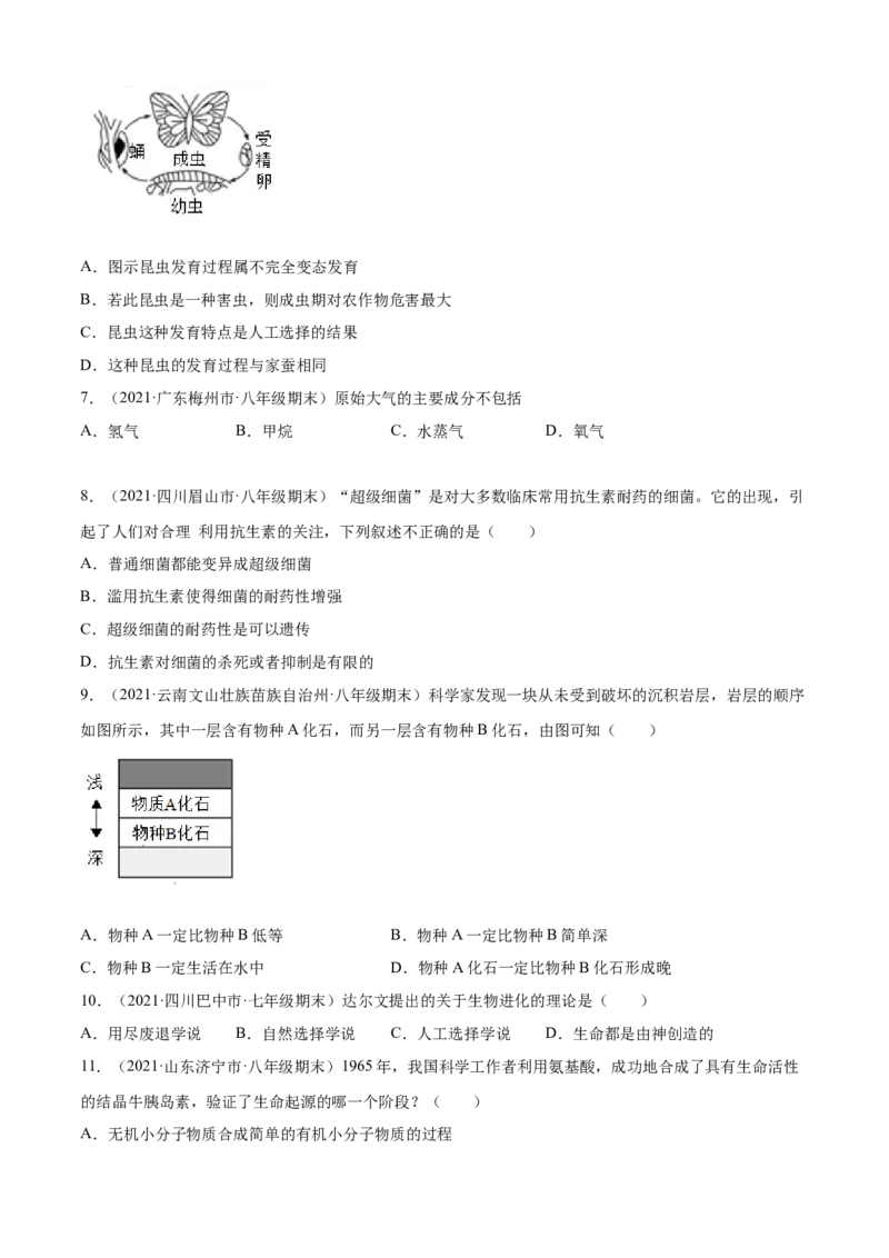 03生命起源和生物进化B卷（原卷版）_初中全科电子版试卷练习试题_生物_生物8下练习_人教生物8年级下单元试卷38份_第3套八年级生物下册单元试卷（人教版）06份