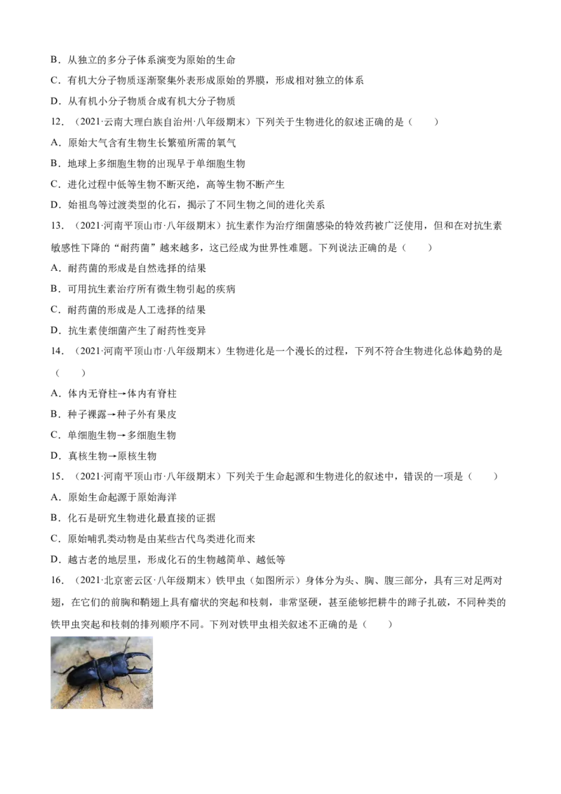 03生命起源和生物进化B卷（原卷版）_初中全科电子版试卷练习试题_生物_生物8下练习_人教生物8年级下单元试卷38份_第3套八年级生物下册单元试卷（人教版）06份