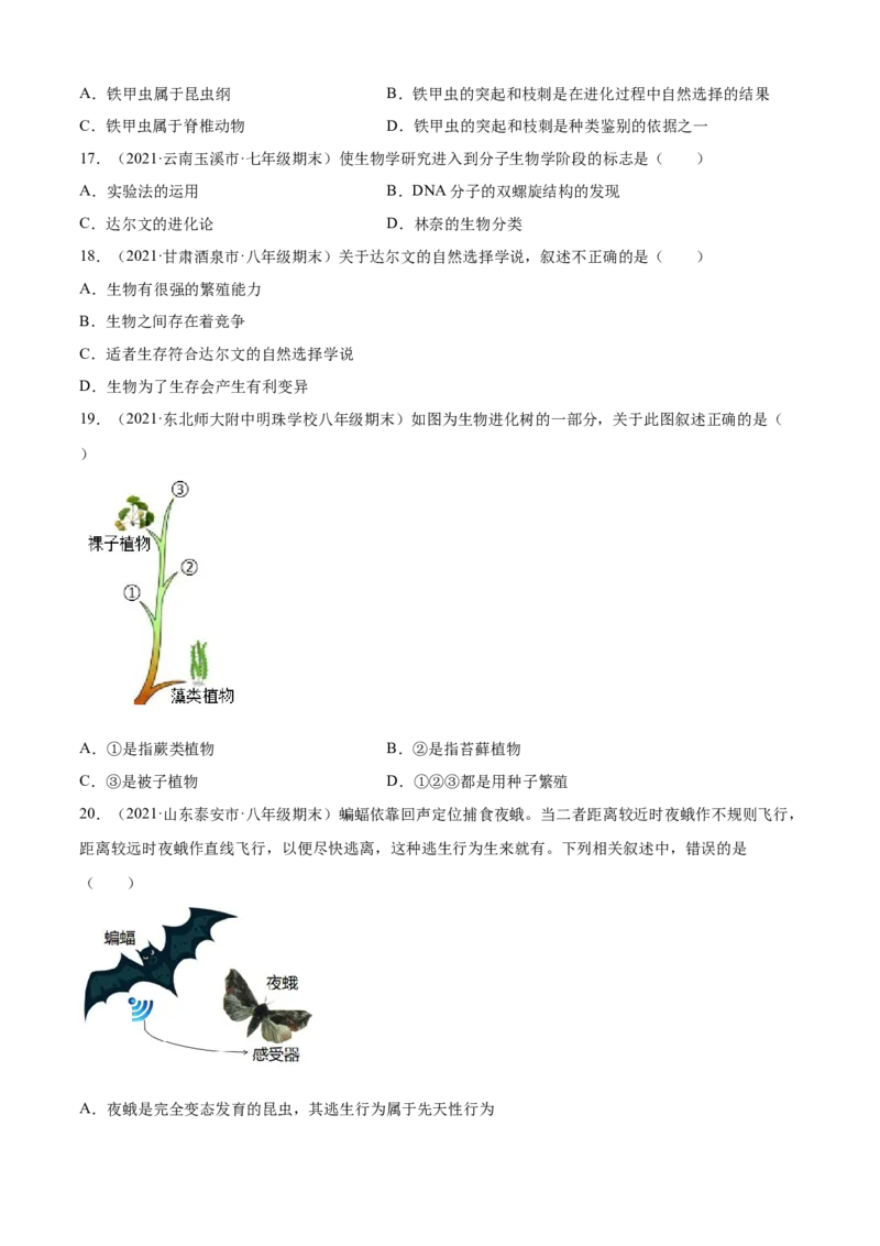 03生命起源和生物进化B卷（原卷版）_初中全科电子版试卷练习试题_生物_生物8下练习_人教生物8年级下单元试卷38份_第3套八年级生物下册单元试卷（人教版）06份