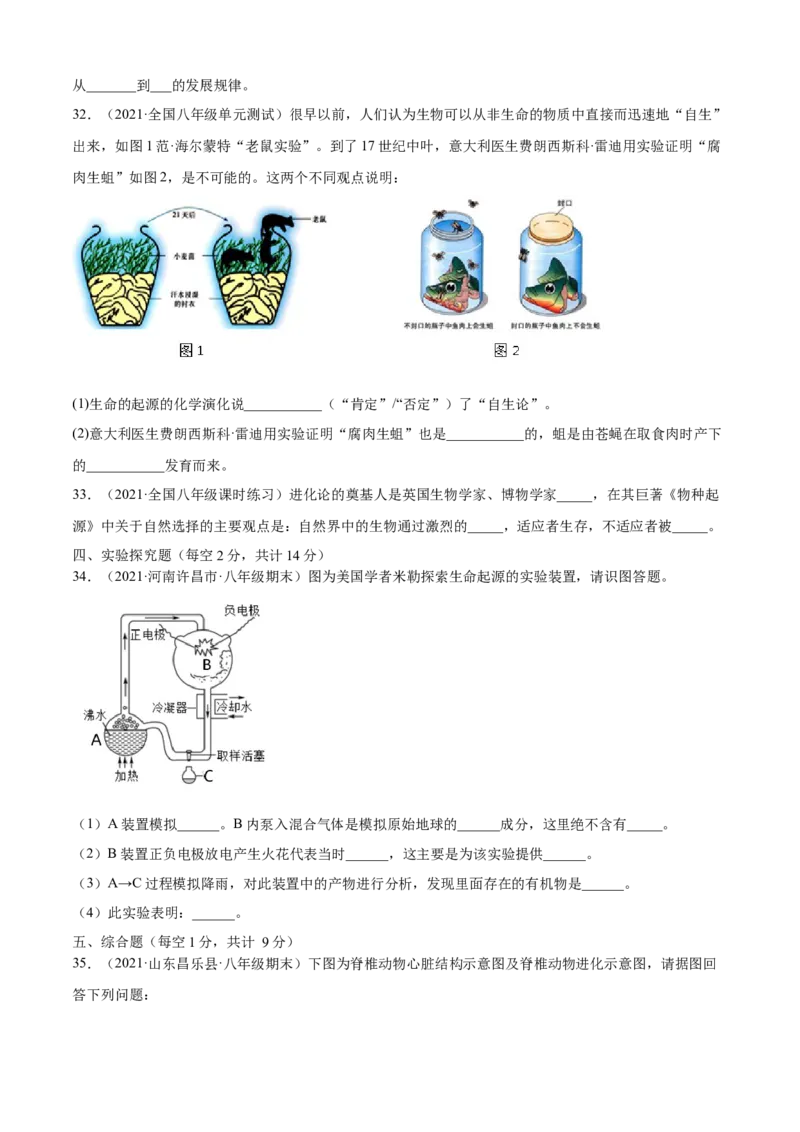 03生命起源和生物进化B卷（原卷版）_初中全科电子版试卷练习试题_生物_生物8下练习_人教生物8年级下单元试卷38份_第3套八年级生物下册单元试卷（人教版）06份