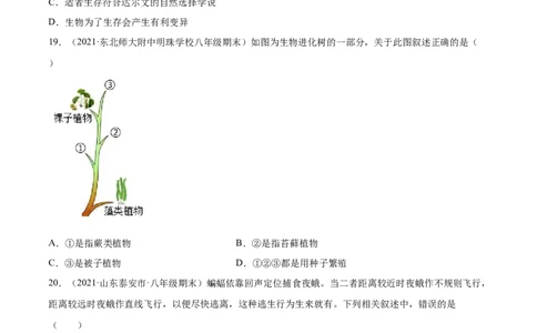 03生命起源和生物进化B卷（原卷版）_初中全科电子版试卷练习试题_生物_生物8下练习_人教生物8年级下单元试卷38份_第3套八年级生物下册单元试卷（人教版）06份