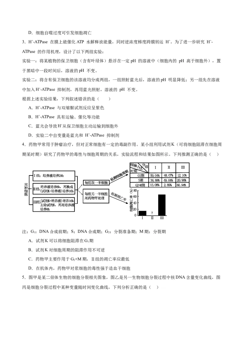 黄金卷04（考试版）-赢在高考&middot;黄金8卷备战2024年高考生物模拟卷（重庆专用）_2024年新高考资料_4.2024高考模拟预测试卷