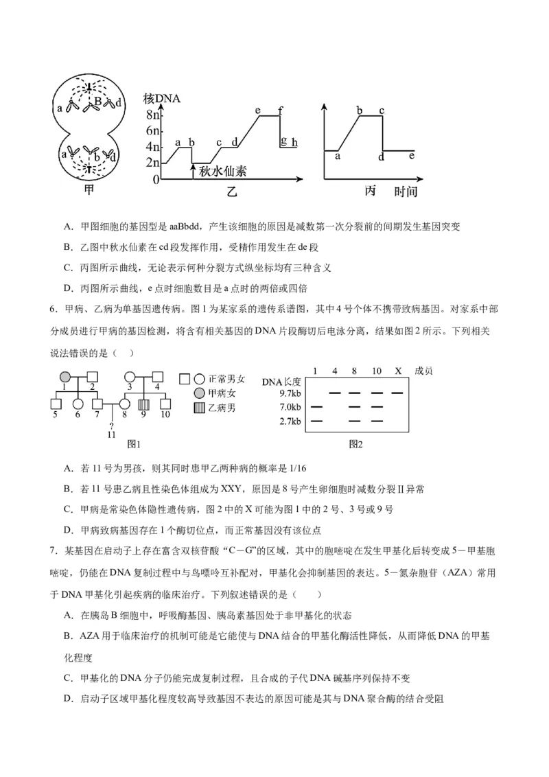 黄金卷04（考试版）-赢在高考&middot;黄金8卷备战2024年高考生物模拟卷（重庆专用）_2024年新高考资料_4.2024高考模拟预测试卷