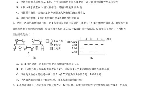 黄金卷04（考试版）-赢在高考&middot;黄金8卷备战2024年高考生物模拟卷（重庆专用）_2024年新高考资料_4.2024高考模拟预测试卷