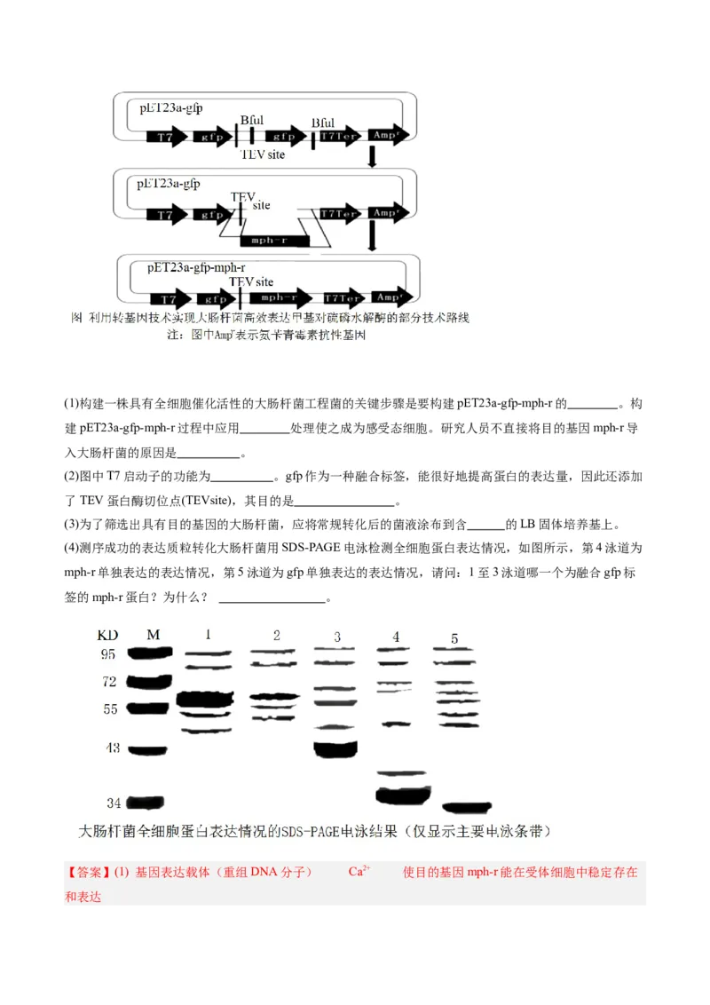 黄金卷02（解析版）-赢在高考&middot;黄金8卷备战2024年高考生物模拟卷（辽宁专用）_2024年新高考资料_4.2024高考模拟预测试卷