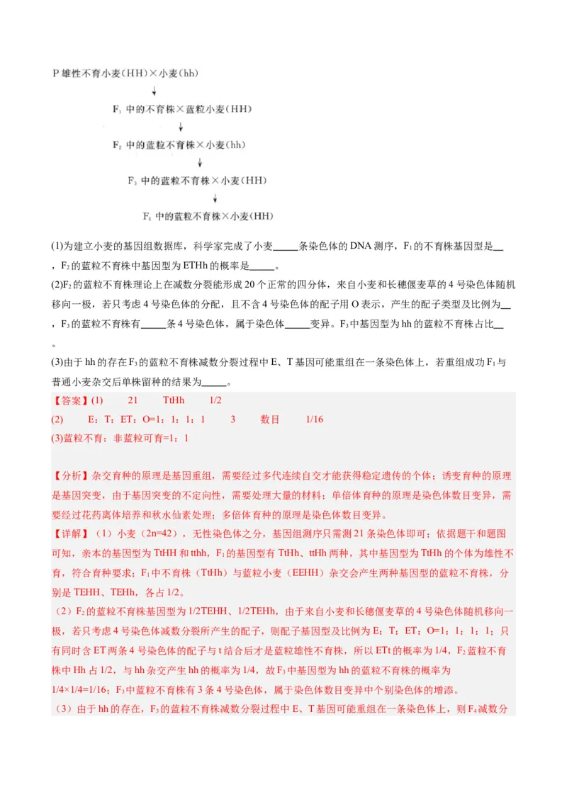 黄金卷02（解析版）-赢在高考&middot;黄金8卷备战2024年高考生物模拟卷（辽宁专用）_2024年新高考资料_4.2024高考模拟预测试卷