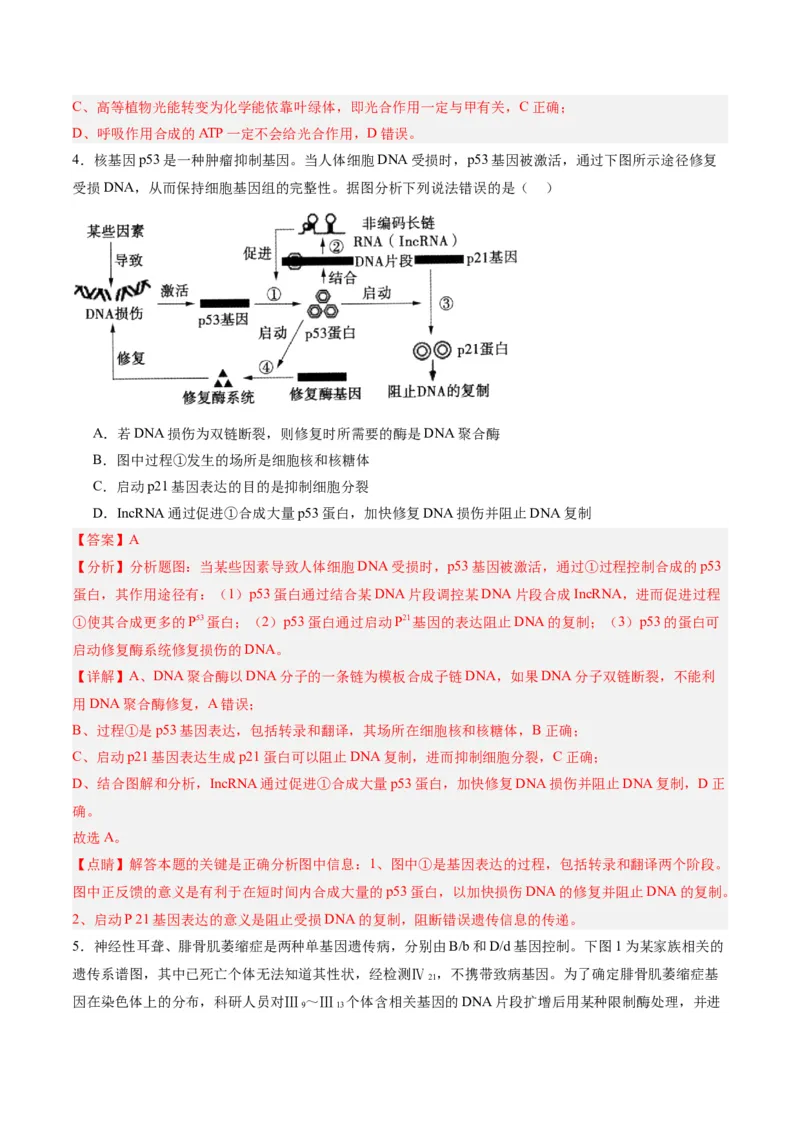 黄金卷02（解析版）-赢在高考&middot;黄金8卷备战2024年高考生物模拟卷（辽宁专用）_2024年新高考资料_4.2024高考模拟预测试卷