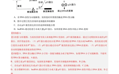 黄金卷02（解析版）-赢在高考&middot;黄金8卷备战2024年高考生物模拟卷（辽宁专用）_2024年新高考资料_4.2024高考模拟预测试卷