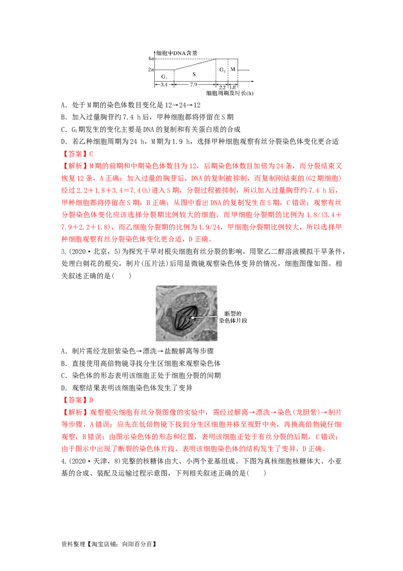 专题11细胞的增殖（串讲）（解析版）_新高考复习资料_2024年新高考复习资料_一轮复习资料_完备战2024年高考生物一轮复习串讲精练（新高考专用）_串讲_解析版