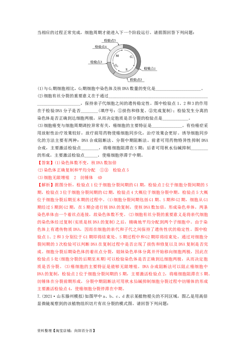 专题11细胞的增殖（串讲）（解析版）_新高考复习资料_2024年新高考复习资料_一轮复习资料_完备战2024年高考生物一轮复习串讲精练（新高考专用）_串讲_解析版