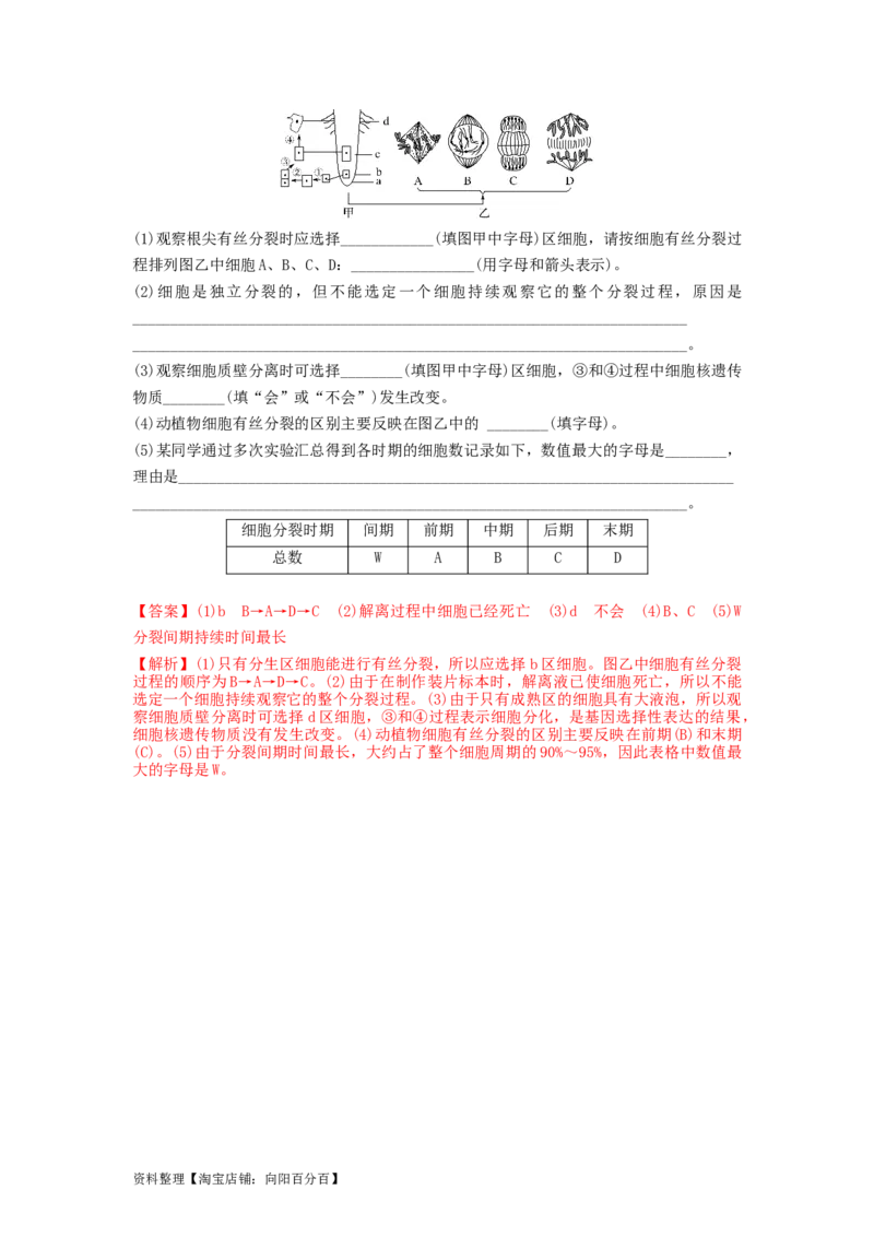 专题11细胞的增殖（串讲）（解析版）_新高考复习资料_2024年新高考复习资料_一轮复习资料_完备战2024年高考生物一轮复习串讲精练（新高考专用）_串讲_解析版