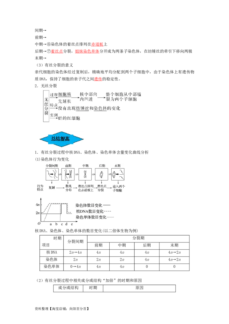 专题11细胞的增殖（串讲）（解析版）_新高考复习资料_2024年新高考复习资料_一轮复习资料_完备战2024年高考生物一轮复习串讲精练（新高考专用）_串讲_解析版