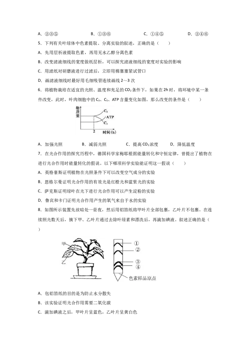 专题09_光与光合作用(学生版)_新高考复习资料_2023年新高考复习资料_二轮复习_增分要点2023高考生物二轮复习专题解读和分层训练291073137