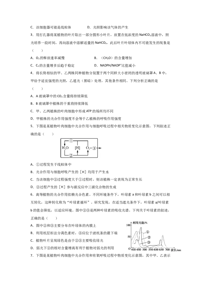 专题09_光与光合作用(学生版)_新高考复习资料_2023年新高考复习资料_二轮复习_增分要点2023高考生物二轮复习专题解读和分层训练291073137