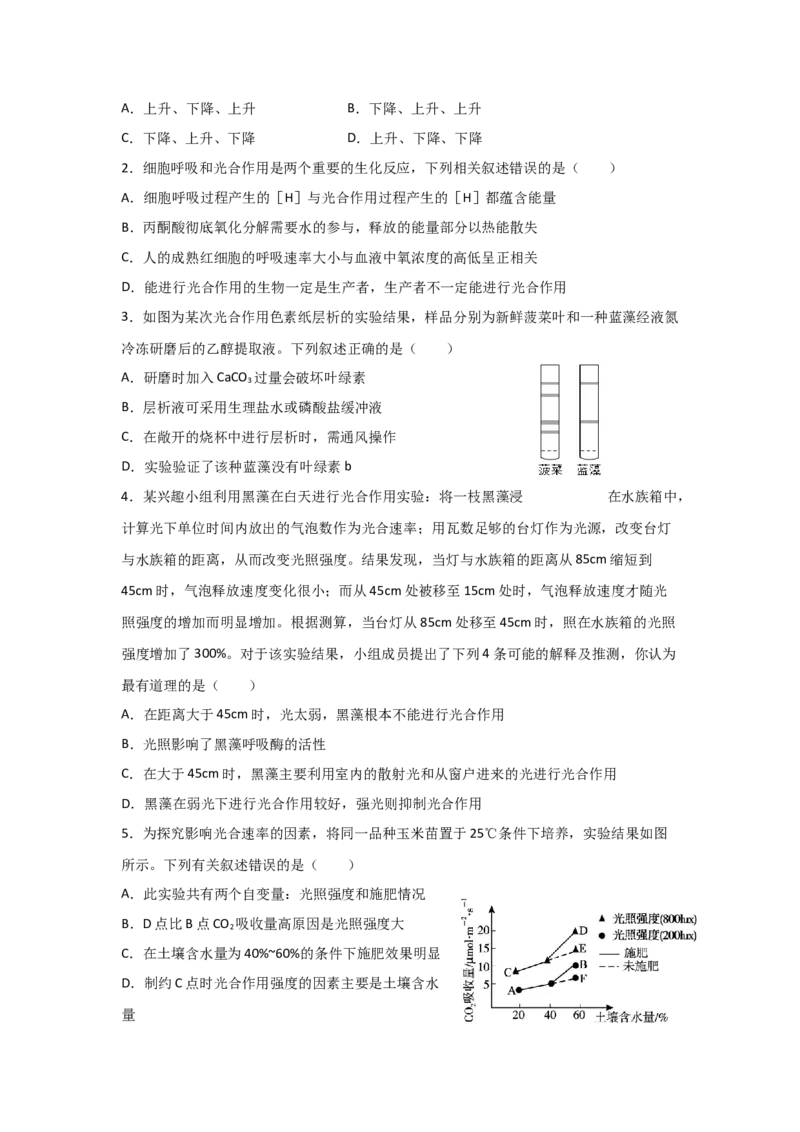 专题09_光与光合作用(学生版)_新高考复习资料_2023年新高考复习资料_二轮复习_增分要点2023高考生物二轮复习专题解读和分层训练291073137