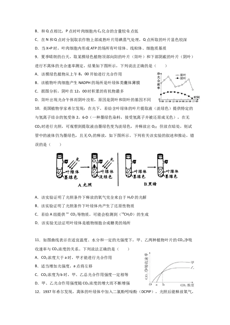 专题09_光与光合作用(学生版)_新高考复习资料_2023年新高考复习资料_二轮复习_增分要点2023高考生物二轮复习专题解读和分层训练291073137