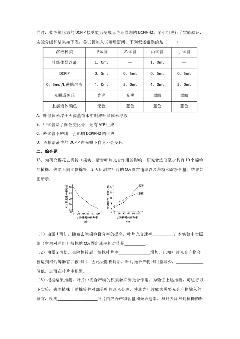 专题09_光与光合作用(学生版)_新高考复习资料_2023年新高考复习资料_二轮复习_增分要点2023高考生物二轮复习专题解读和分层训练291073137