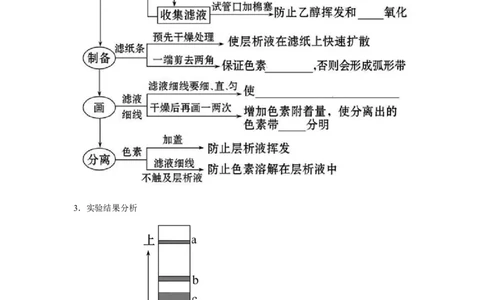 专题09_光与光合作用(学生版)_新高考复习资料_2023年新高考复习资料_二轮复习_增分要点2023高考生物二轮复习专题解读和分层训练291073137