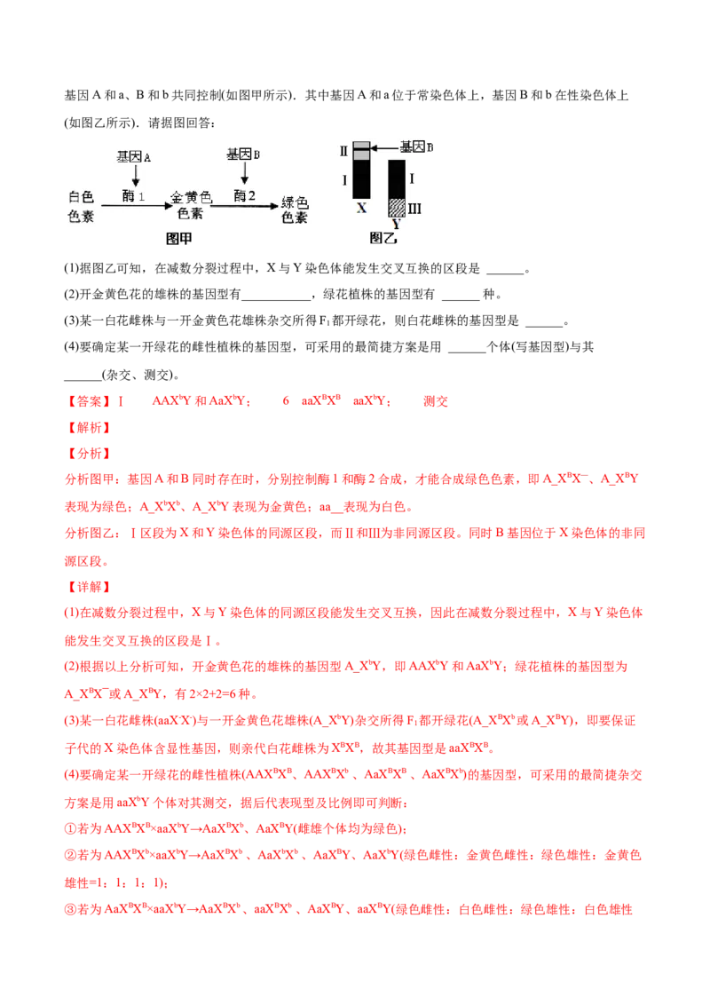 专题08基因的自由组合定律-2021年高考生物真题与模拟题分类训练（教师版含解析）_新高考复习资料_2023年新高考复习资料_一轮复习_2023年新高考大一轮复习讲义