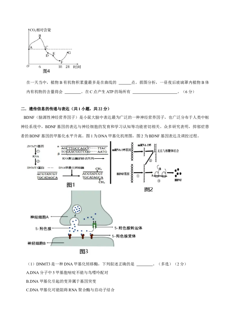 黄金卷05（考试版）-赢在高考&middot;黄金8卷备战2024年高考生物模拟卷（上海专用）_2024年新高考资料_4.2024高考模拟预测试卷