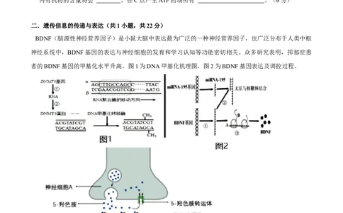 黄金卷05（考试版）-赢在高考&middot;黄金8卷备战2024年高考生物模拟卷（上海专用）_2024年新高考资料_4.2024高考模拟预测试卷
