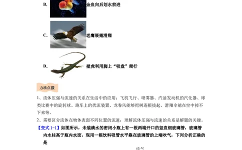 课时9.5流体压强与流速的关系（学生版）_初物_八年级上下册+九年级全一册物理_八年级物理下册_讲义（更新中）-U26