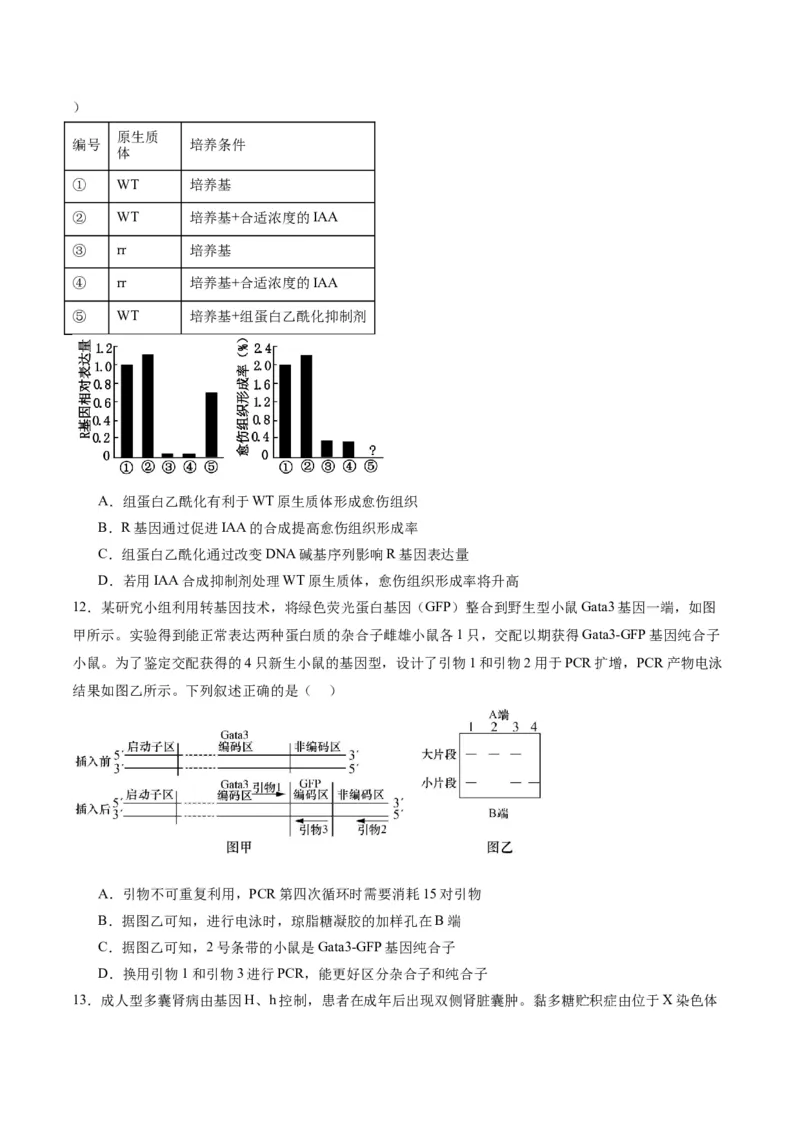 黄金卷03（考试版）-赢在高考&middot;黄金8卷备战2024年高考生物模拟卷（重庆专用）_2024年新高考资料_4.2024高考模拟预测试卷