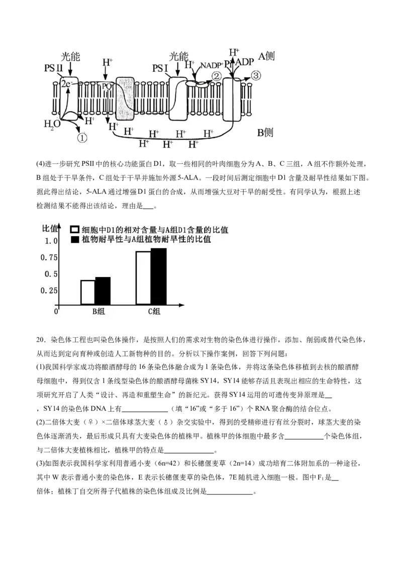 黄金卷03（考试版）-赢在高考&middot;黄金8卷备战2024年高考生物模拟卷（重庆专用）_2024年新高考资料_4.2024高考模拟预测试卷