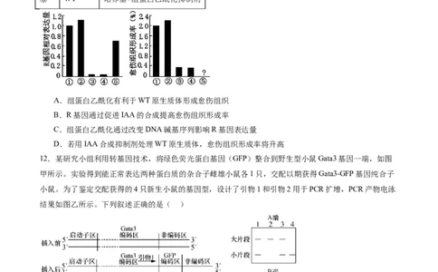 黄金卷03（考试版）-赢在高考&middot;黄金8卷备战2024年高考生物模拟卷（重庆专用）_2024年新高考资料_4.2024高考模拟预测试卷