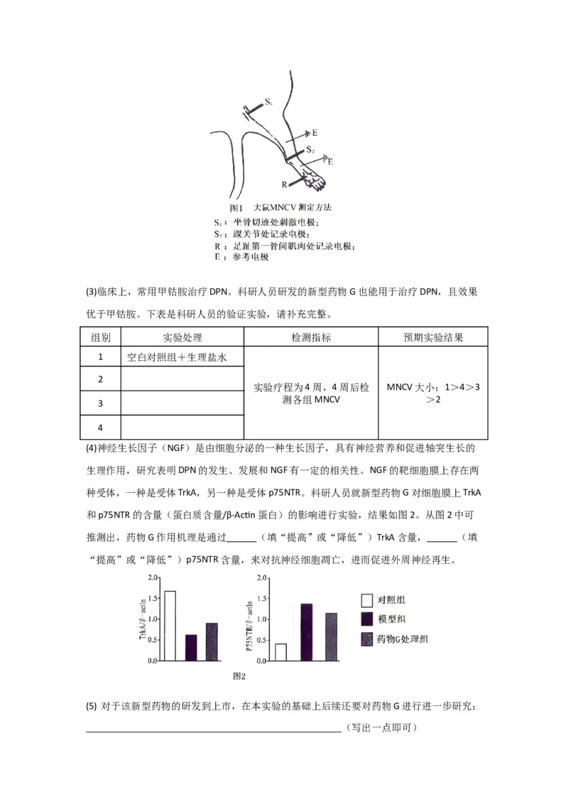 黄金卷04（原卷版）-赢在高考&middot;黄金8卷备战2024年高考生物模拟卷（黑龙江专用）_2024年新高考资料_4.2024高考模拟预测试卷