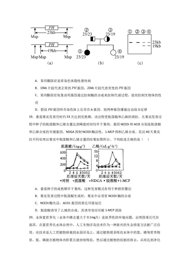 黄金卷04（原卷版）-赢在高考&middot;黄金8卷备战2024年高考生物模拟卷（黑龙江专用）_2024年新高考资料_4.2024高考模拟预测试卷