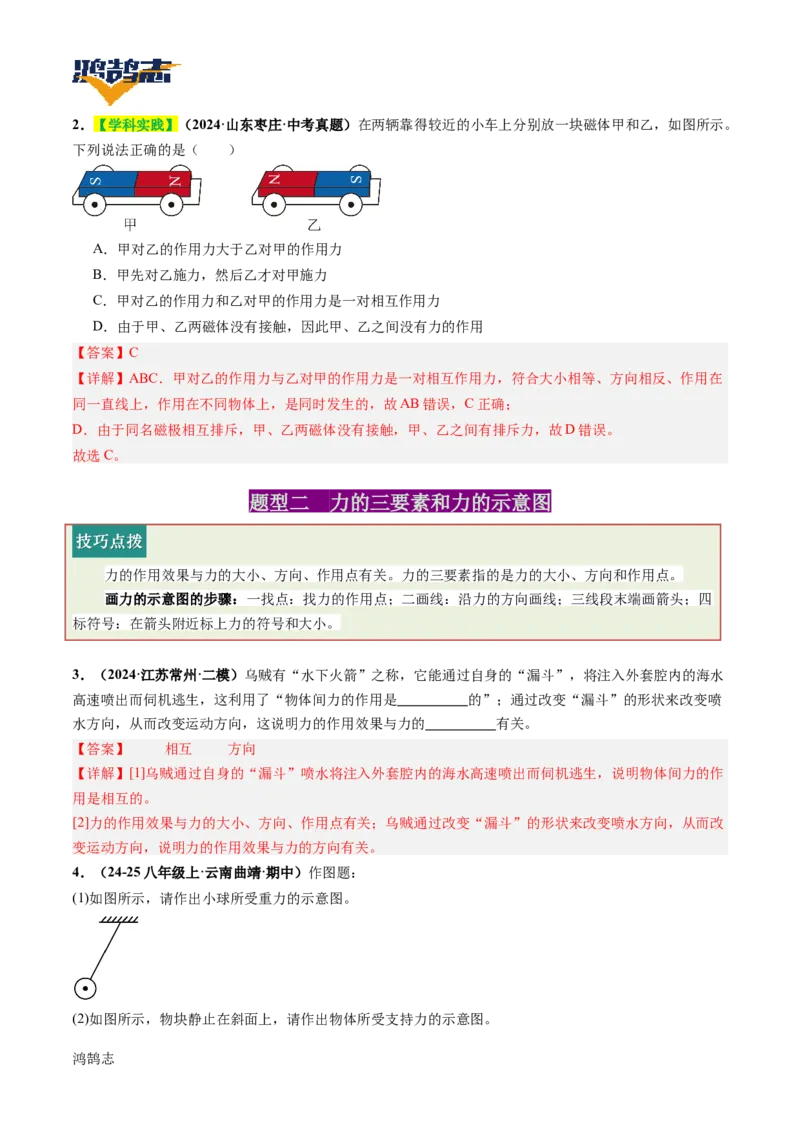 专题08力（讲义）（解析版）_8、物理总复习_《2025年中考复习讲义》物理
