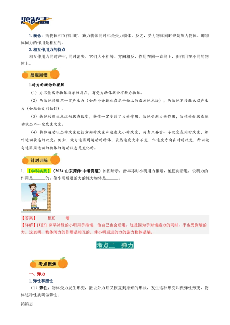 专题08力（讲义）（解析版）_8、物理总复习_《2025年中考复习讲义》物理