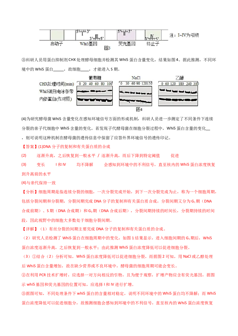 黄金卷04（解析版）-赢在高考&middot;黄金8卷备战2024年高考生物模拟卷（北京专用）_2024年新高考资料_4.2024高考模拟预测试卷