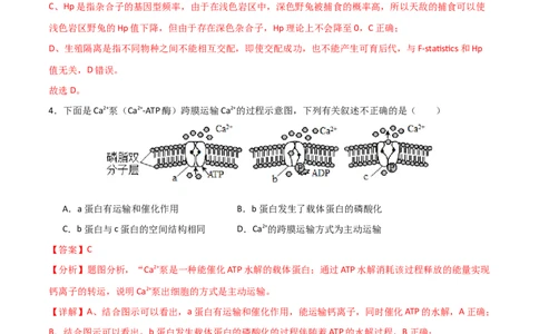 黄金卷04（解析版）-赢在高考&middot;黄金8卷备战2024年高考生物模拟卷（北京专用）_2024年新高考资料_4.2024高考模拟预测试卷