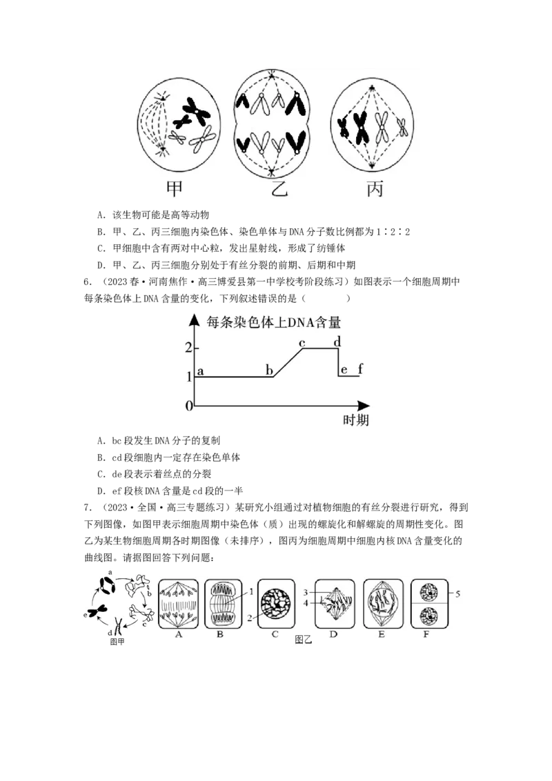 专题10细胞的增殖（原卷版）_通用版（老高考）复习资料_2024年复习资料_完备战2024年高考生物一轮复习抢分特训（全国通用）