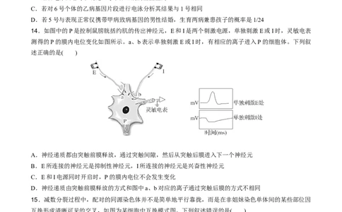 黄金卷07（考试版）-赢在高考&middot;黄金8卷备战2024年高考生物模拟卷（福建专用）_2024年新高考资料_4.2024高考模拟预测试卷