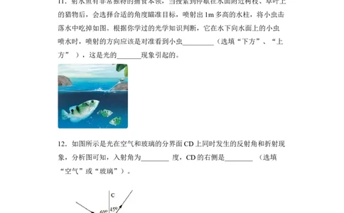 第04讲光现象（模拟检测）-2023年中考物理一轮复习讲练测（全国通用）（原卷版）_8、物理总复习_8.中考物理总复习_2023年中考复习资料_一轮复习